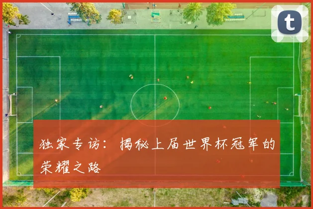 独家专访：揭秘上届世界杯冠军的荣耀之路